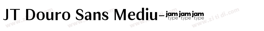JT Douro Sans Mediu字体转换
